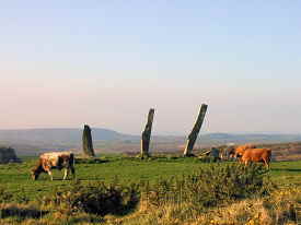 Five Fingers Standing Stones at Castletownshend